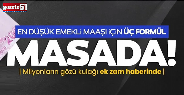 En düşük emekli maaşı için üç formül masada