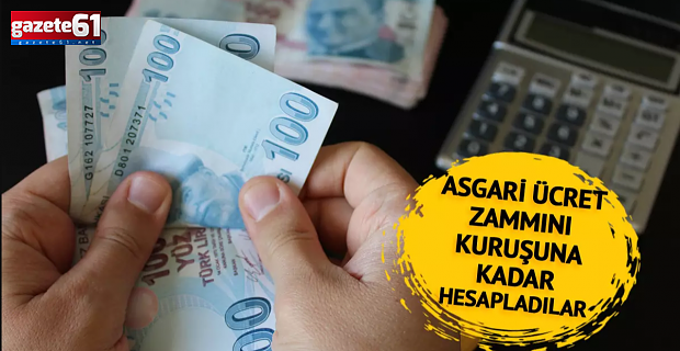 Asgari ücretli ocak ayını bekliyor... Kuruşu kuruşuna hesapladı!