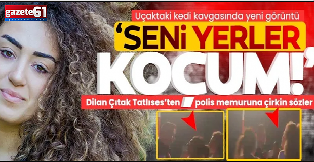 Seni yerler koçum! Ne olacağını sanıyorsun delikanlı?