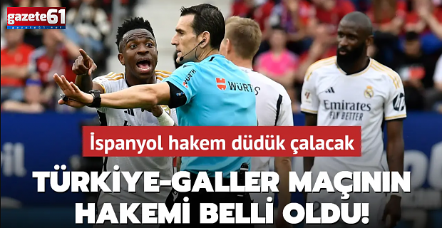 Türkiye-Galler maçının hakemi belli oldu!