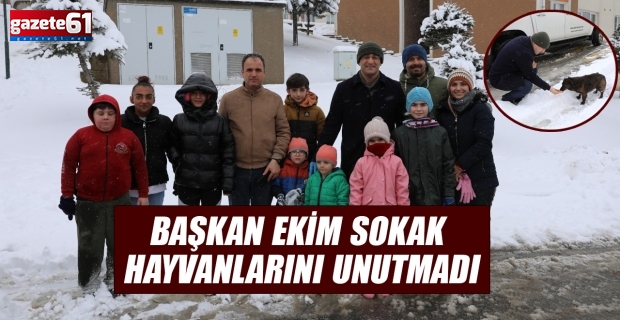 Başkan Ekim sokak hayvanlarını unutmadı