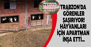 Trabzon'da görenler şaşırıyor! Hayvanları için apartman inşa etti...