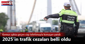 Kırmızı ışıkta geçen cep telefonuyla konuşan yandı