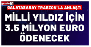 Milli yıldız için 3.5 milyon euro ödeyecek