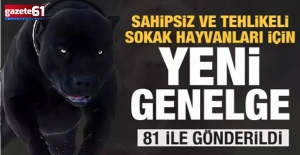 Başıboş köpek sorunu için 39 mülkiye müfettişi görevlendirildi