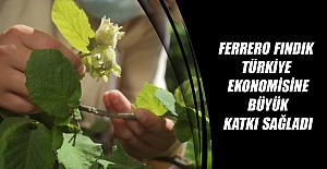 Ferrero Fındık, Türkiye Ekonomisine Büyük Katkı Sağladı